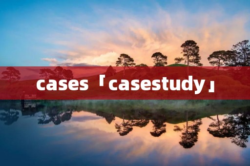 cases「casestudy」