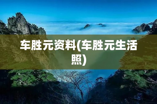 车胜元资料(车胜元生活照)