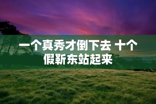 一个真秀才倒下去 十个假靳东站起来