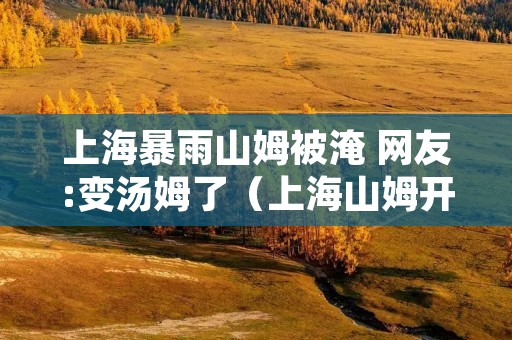 上海暴雨山姆被淹 网友:变汤姆了（上海山姆开了多久了）