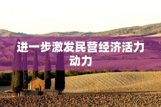 进一步激发民营经济活力动力