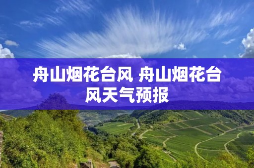 舟山烟花台风 舟山烟花台风天气预报