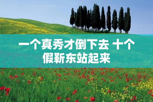 一个真秀才倒下去 十个假靳东站起来