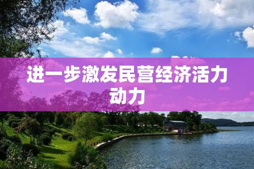 进一步激发民营经济活力动力