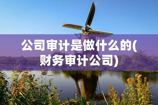 公司审计是做什么的(财务审计公司) 公司审计是做什么的(财务审计公司)