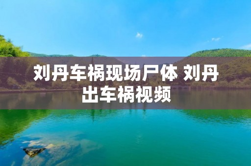 刘丹车祸现场尸体 刘丹出车祸视频