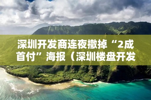 深圳开发商连夜撤掉“2成首付”海报（深圳楼盘开发商）