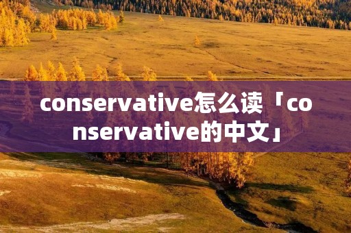 conservative怎么读「conservative的中文」 conservative怎么读「conservative的中文」