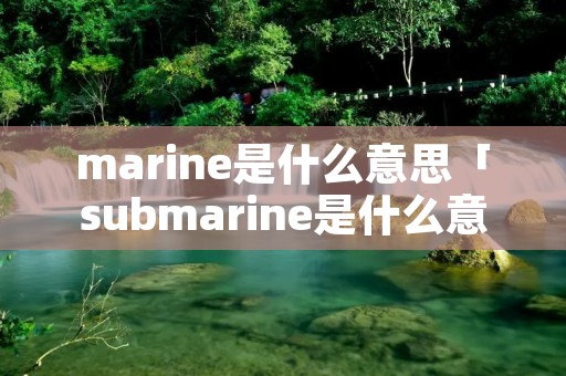 marine是什么意思「submarine是什么意思」