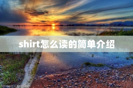 shirt怎么读的简单介绍 shirt怎么读的简单介绍