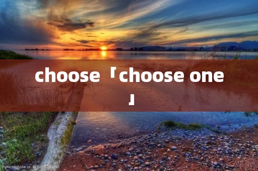 choose「choose one」