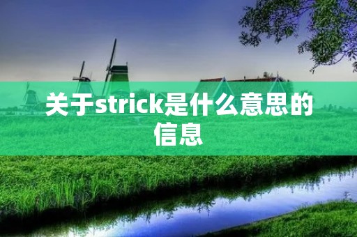 关于strick是什么意思的信息
