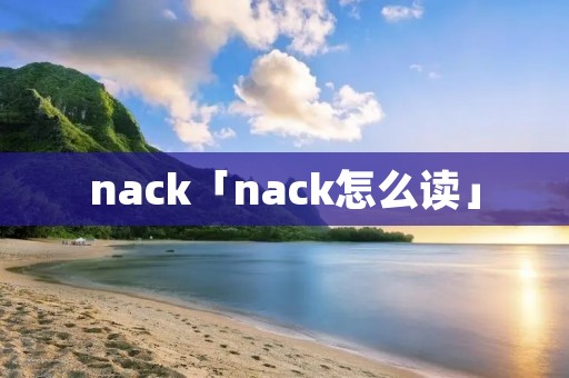 nack「nack怎么读」