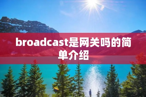 broadcast是网关吗的简单介绍
