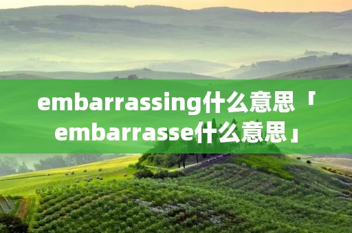 embarrassing什么意思「embarrasse什么意思」
