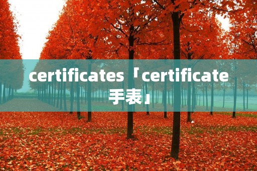 certificates「certificate手表」