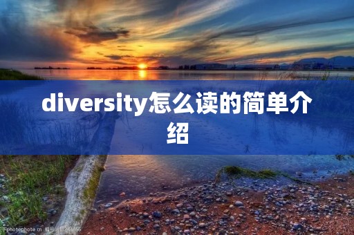 diversity怎么读的简单介绍