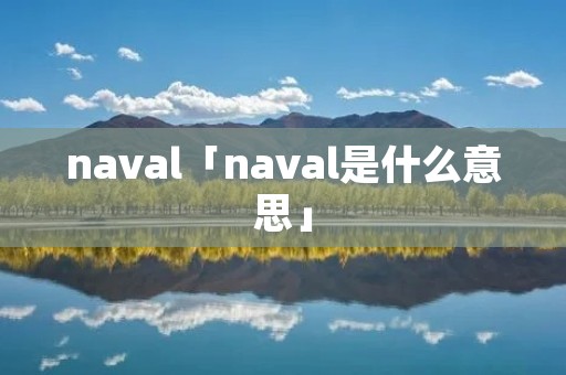 naval「naval是什么意思」