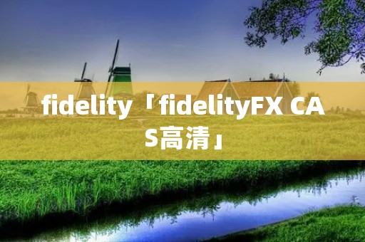 fidelity「fidelityFX CAS高清」