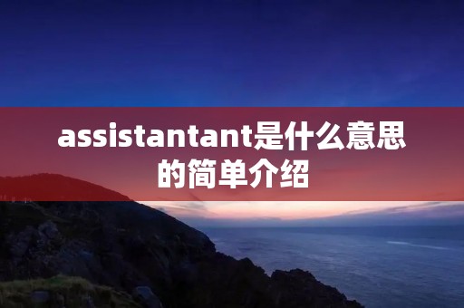 assistantant是什么意思的简单介绍