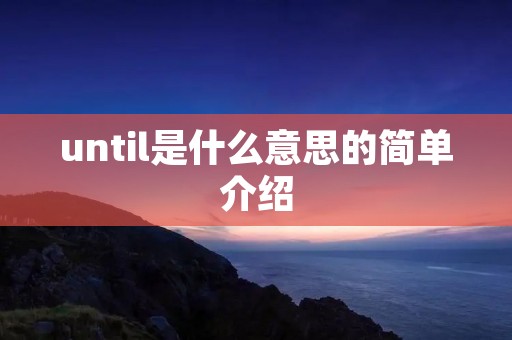until是什么意思的简单介绍