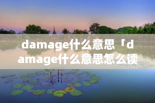 damage什么意思「damage什么意思怎么读」