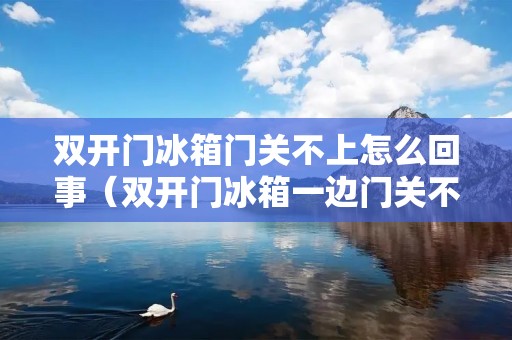 双开门冰箱门关不上怎么回事（双开门冰箱一边门关不紧）