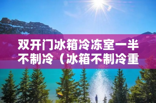 双开门冰箱冷冻室一半不制冷（冰箱不制冷重启就好了）