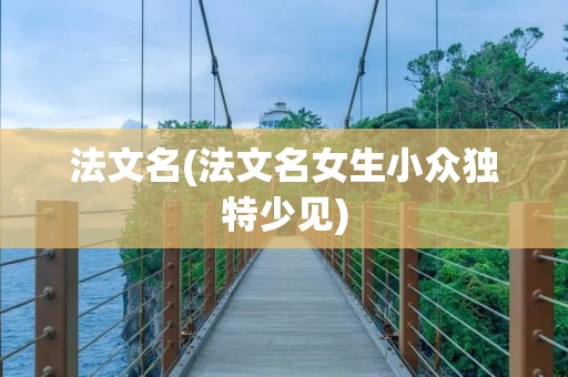 法文名(法文名女生小众独特少见)
