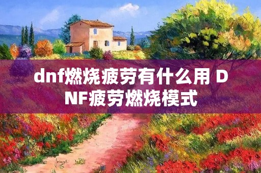 dnf燃烧疲劳有什么用 DNF疲劳燃烧模式