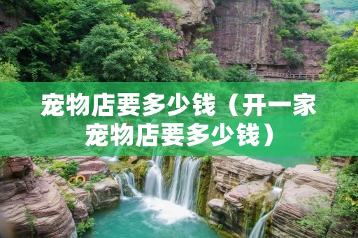 宠物店要多少钱(开一家宠物店要多少钱) 宠物店要多少钱(开一家宠物店要多少钱)