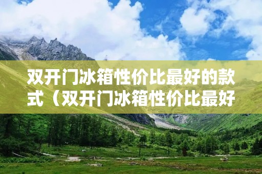 双开门冰箱性价比最好的款式(双开门冰箱性价比最好的款式有哪些)
