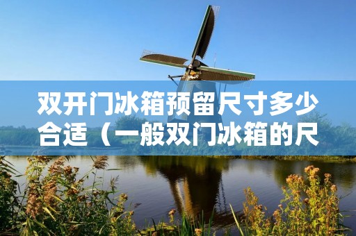 双开门冰箱预留尺寸多少合适(一般双门冰箱的尺寸大全)