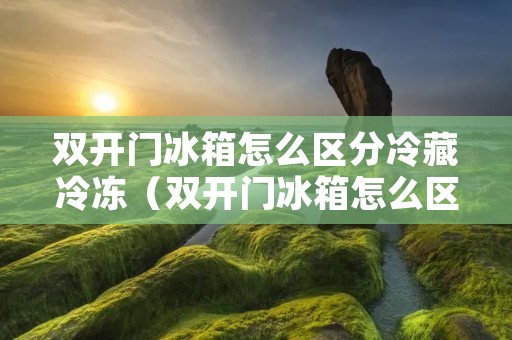 双开门冰箱怎么区分冷藏冷冻(双开门冰箱怎么区分冷藏冷冻和星级)