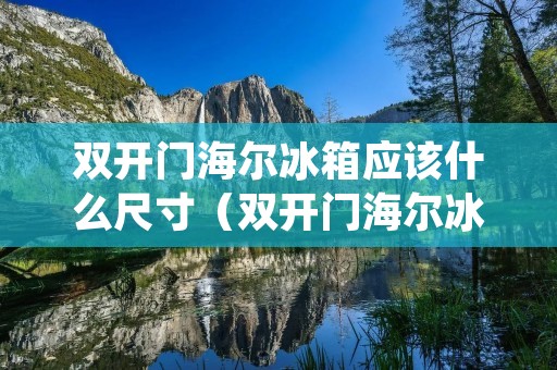 双开门海尔冰箱应该什么尺寸(双开门海尔冰箱应该什么尺寸好)
