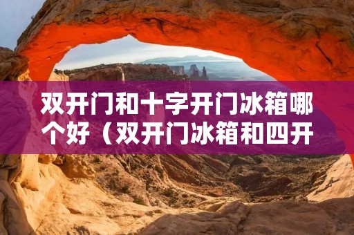 双开门和十字开门冰箱哪个好(双开门冰箱和四开门哪个实用)