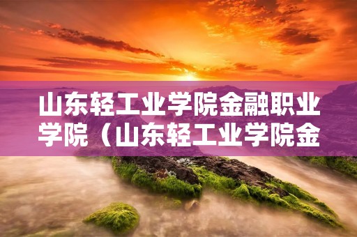 山东轻工业学院金融职业学院（山东轻工业学院金融职业学院**）