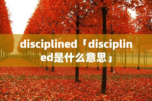 disciplined「disciplined是什么意思」