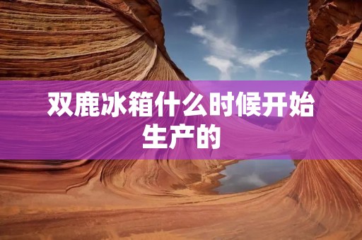 双鹿冰箱什么时候开始生产的