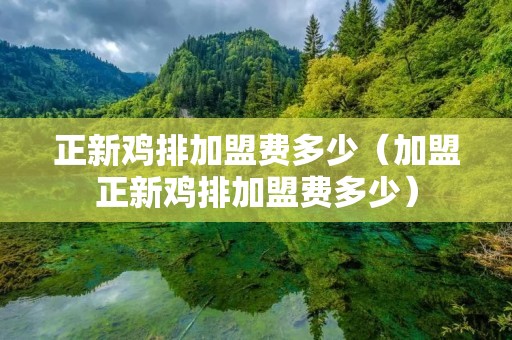 正新鸡排加盟费多少(加盟正新鸡排加盟费多少) 正新鸡排加盟费多少(加盟正新鸡排加盟费多少)