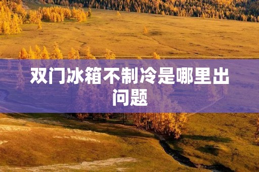 双门冰箱不制冷是哪里出问题