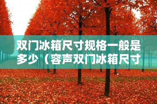 双门冰箱尺寸规格一般是多少(容声双门冰箱尺寸规格一般是多少)