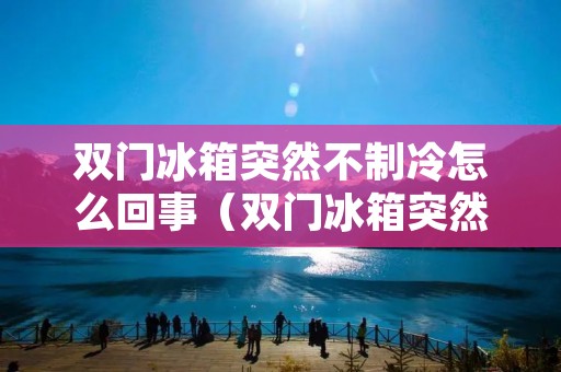 双门冰箱突然不制冷怎么回事(双门冰箱突然不制冷怎么回事儿) 双门冰箱突然不制冷怎么回事(双门冰箱突然不制冷怎么回事儿)