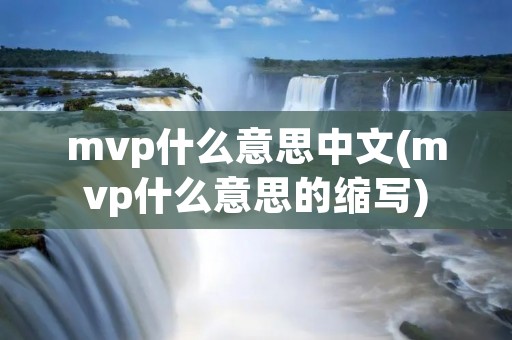 mvp什么意思中文(mvp什么意思的缩写)