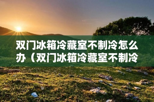 双门冰箱冷藏室不制冷怎么办（双门冰箱冷藏室不制冷怎么办视频）