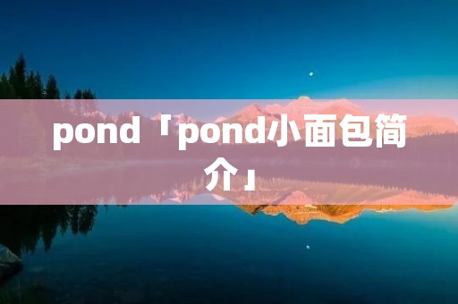 pond「pond小面包简介」