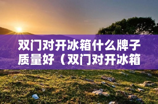 双门对开冰箱什么牌子质量好（双门对开冰箱什么牌子质量好耐用）