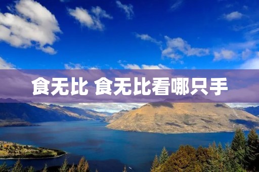 食无比 食无比看哪只手