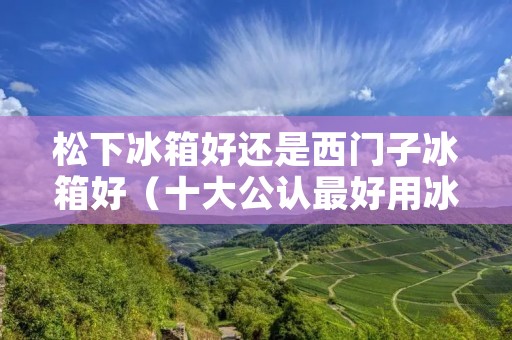 松下冰箱好还是西门子冰箱好（十大公认最好用冰箱）
