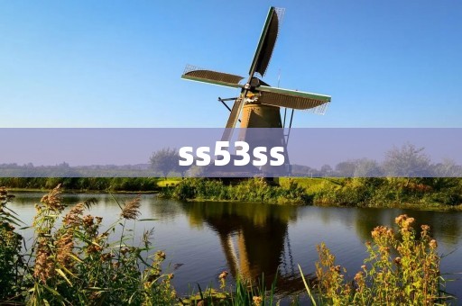 ss53ss